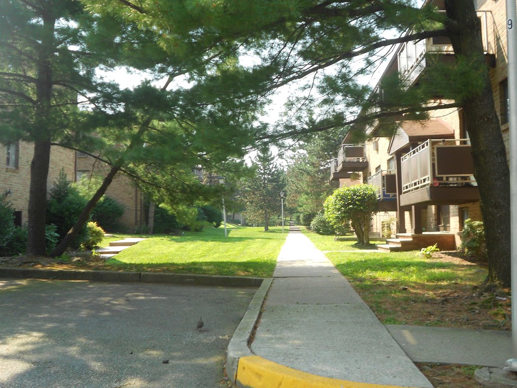 A tree-lined residential street with a sidewalk and a yellow curb.
