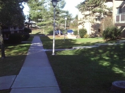 A sidewalk with a lamp post and a tree in the background.