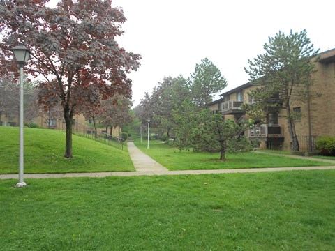 A tree with red leaves stands in a grassy area in front of a building.