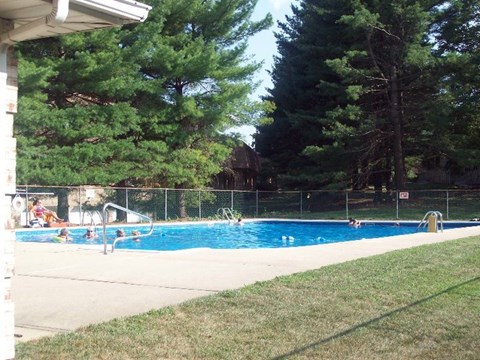 A group of people are in a blue swimming pool.