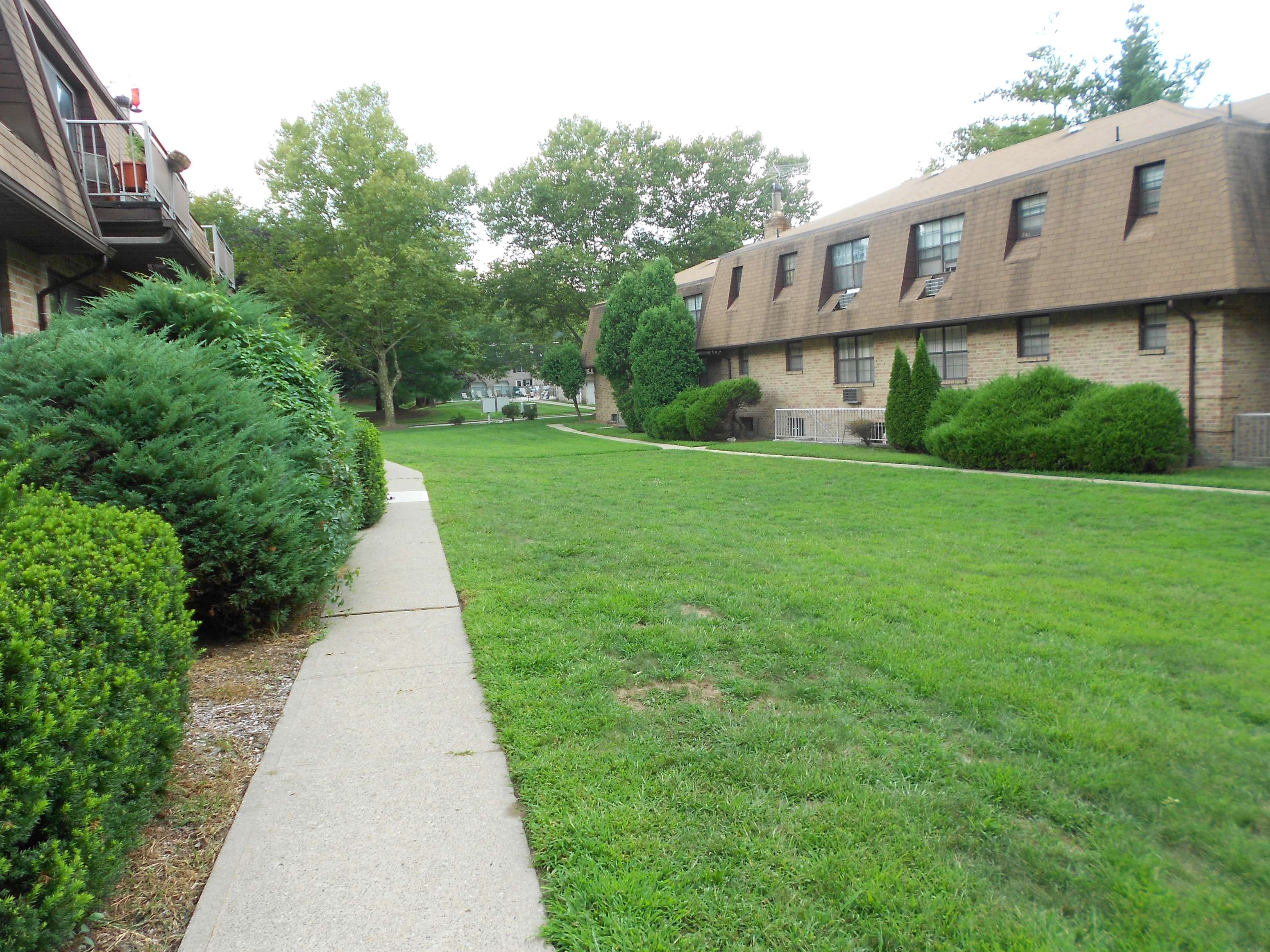 A grassy area in front of a building with a concrete walkway.
