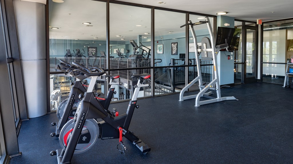 A gym with a row of exercise bikes and a row of weight machines.