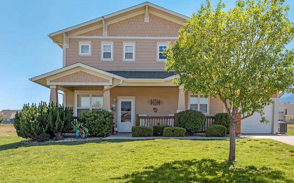 a house with a lawn and a tree in front of it