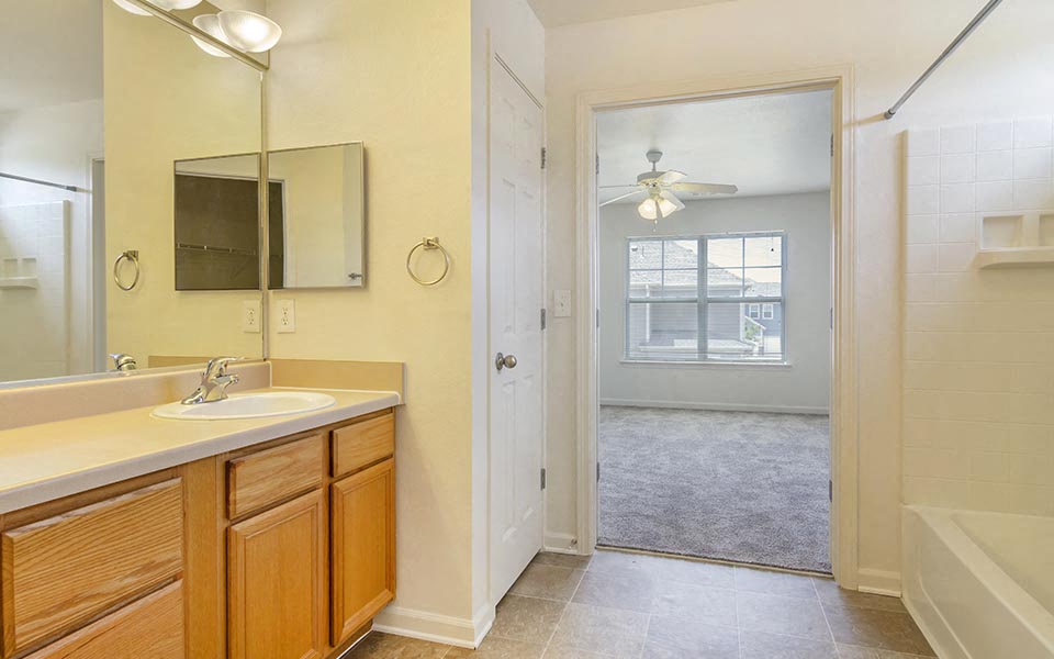 a bathroom with a sink and a mirror