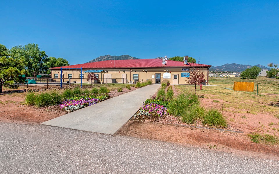 a building with a sidewalk and plants in front of it