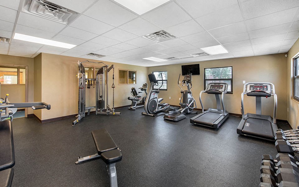 the gym in our apartments is equipped with cardio equipment
