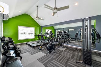 Modern fitness center Modern fitness center at Lory of Savannah, Georgia, 31406 - Photo Gallery