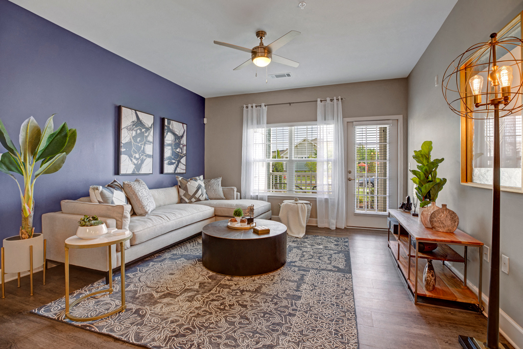 a living room with a blue accent wall and a white couch