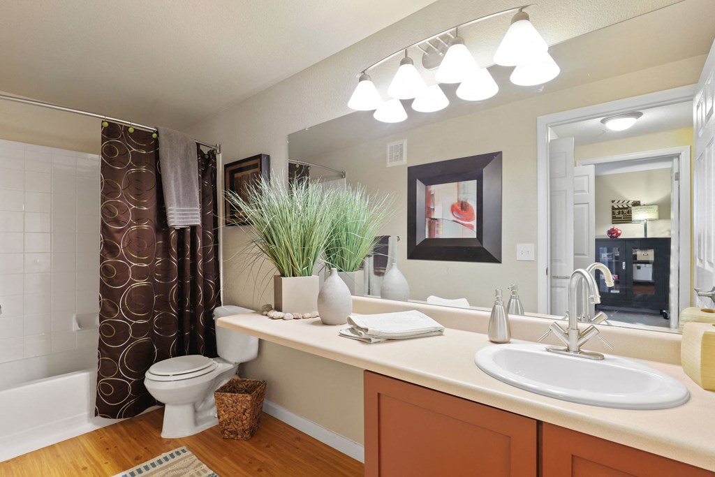 a bathroom with a sink and a toilet and a shower