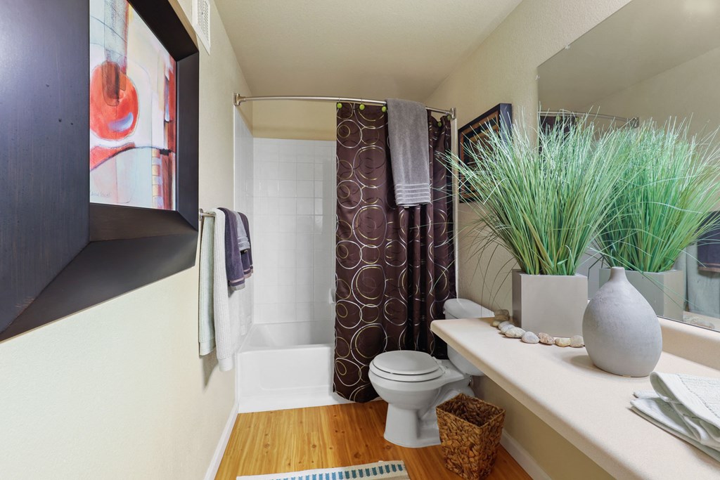 a bathroom with a shower and a toilet and a plant