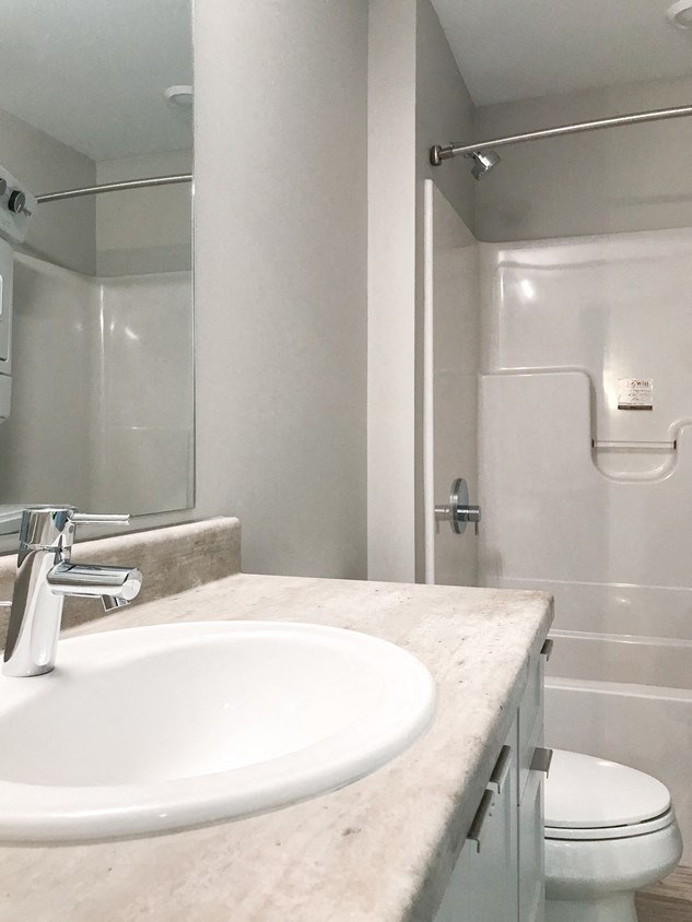 a bathroom with a sink and a toilet and a shower