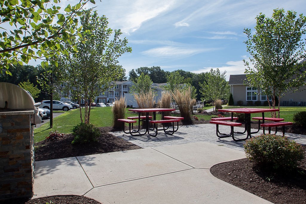 a patio with picnic tables and benches in a park