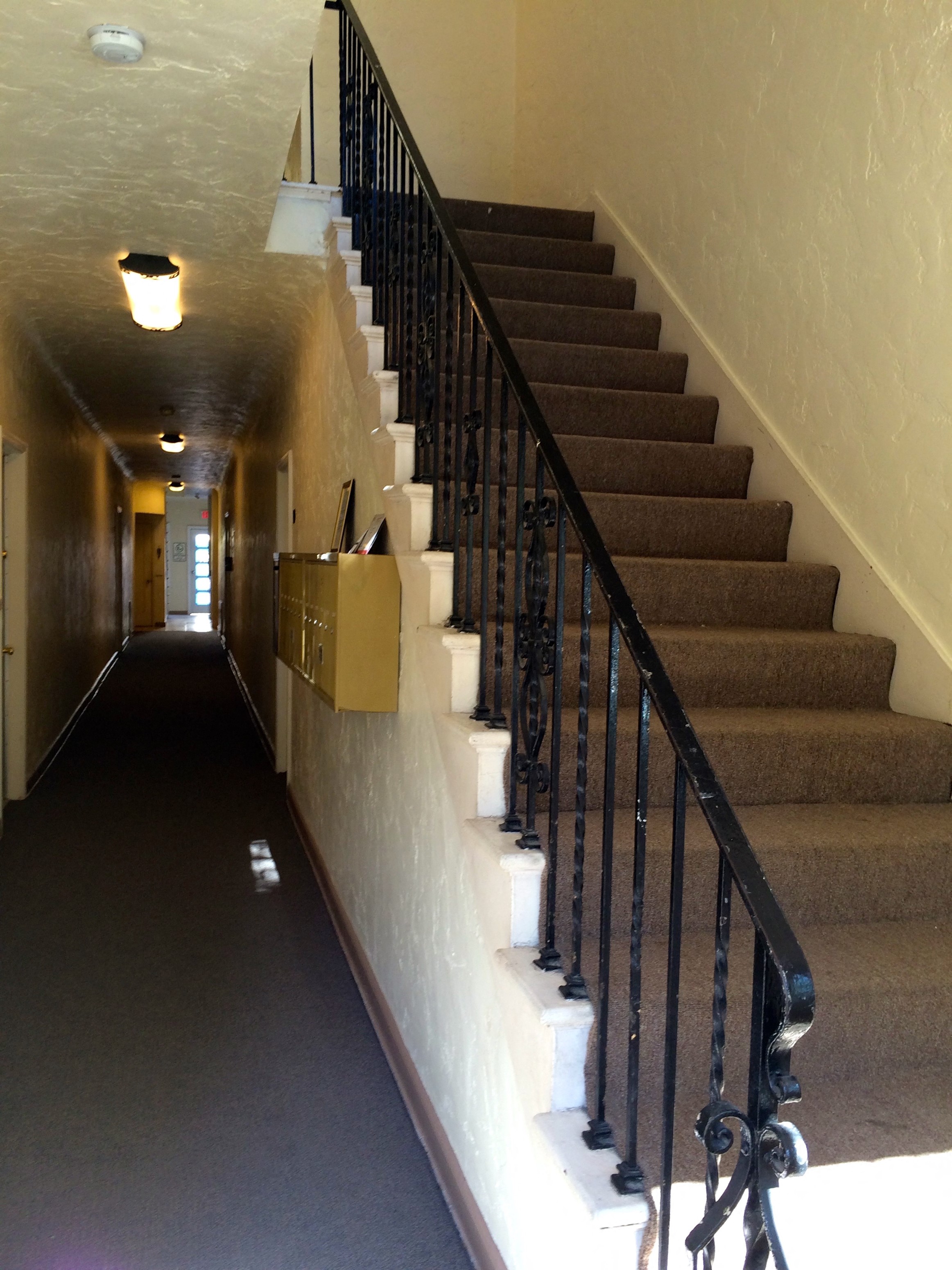 A staircase with a black railing and beige carpeting.