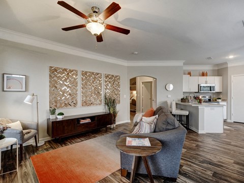 A living room with a grey couch and a brown rug.