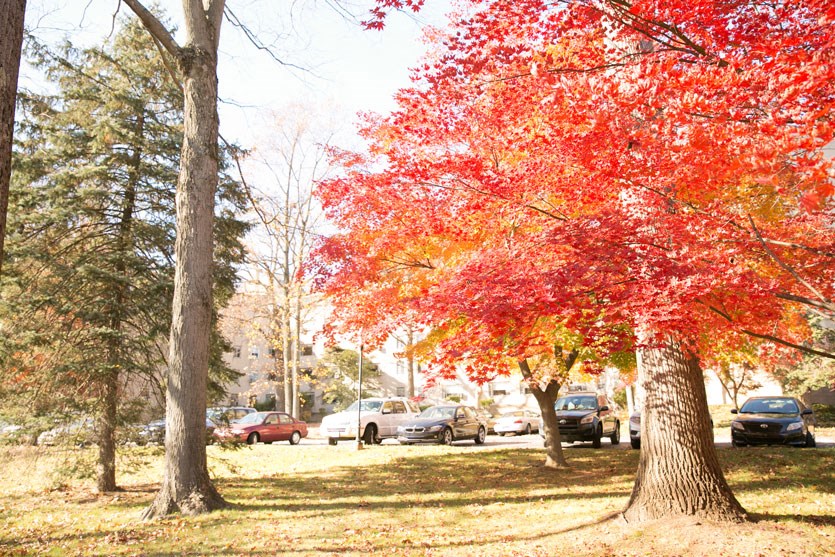 Thomas Wynne Apartments, 200 N Wynnewood Avenue, Wynnewood, PA RentCafe