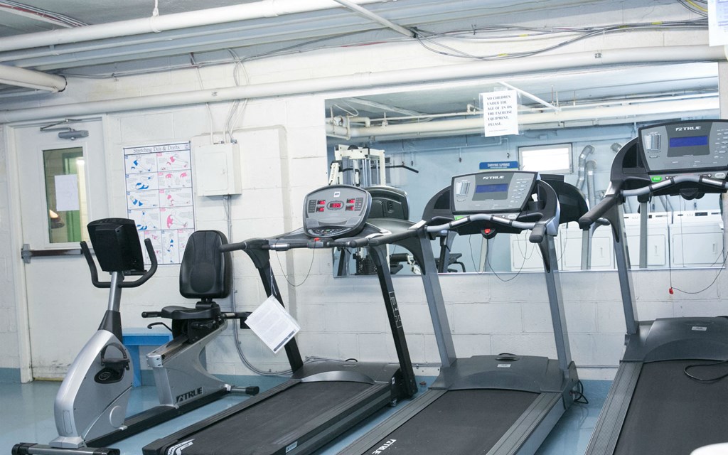 a row of treadmill machines in a gym