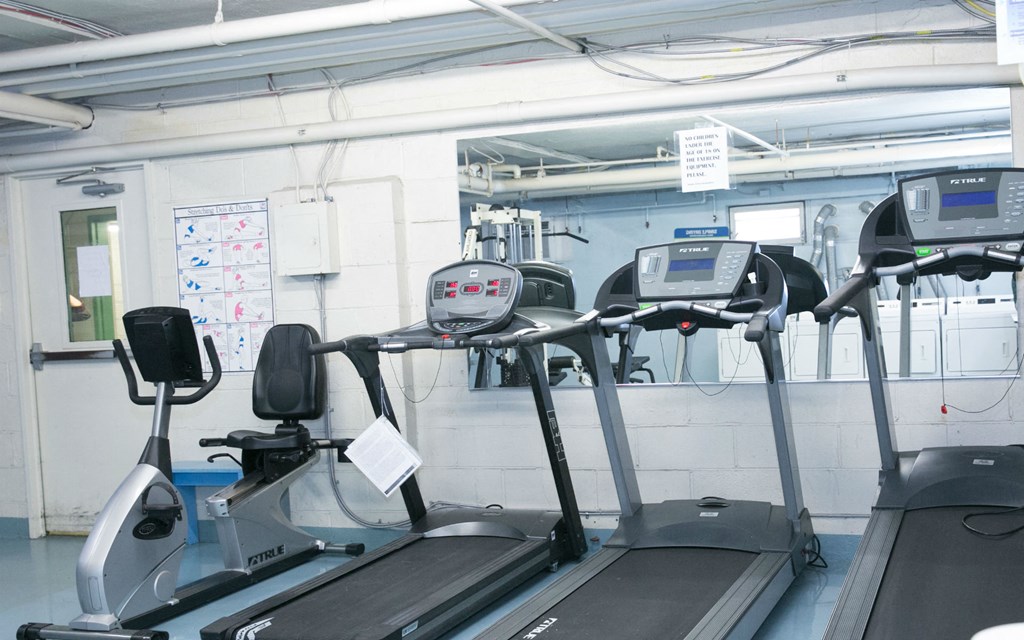 a row of treadmill machines in a gym