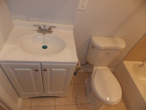 a bathroom with a sink and a toilet