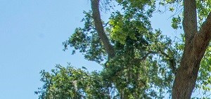 NAS Jacksonville Homes | Family Housing at NAS Jacksonville, FL