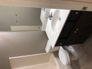 a bathroom with a sink and a toilet