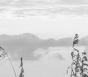 NCBC Gulfport Homes Rental Homes in Gulfport, MS Neighborhoods