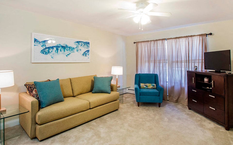 a living room with a couch and a chair and a television