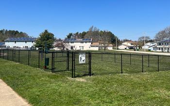 Dog park