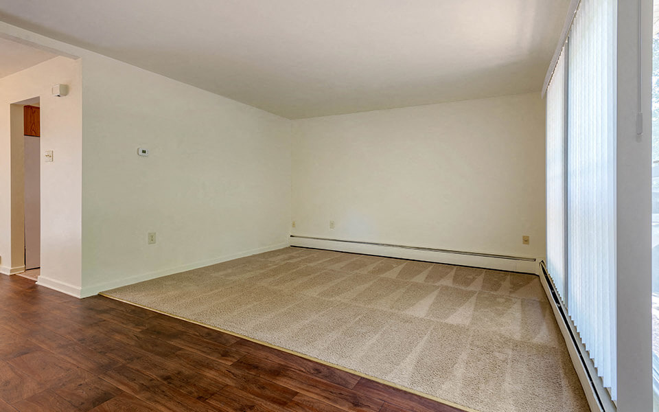 an empty living room with wood floors and a rug