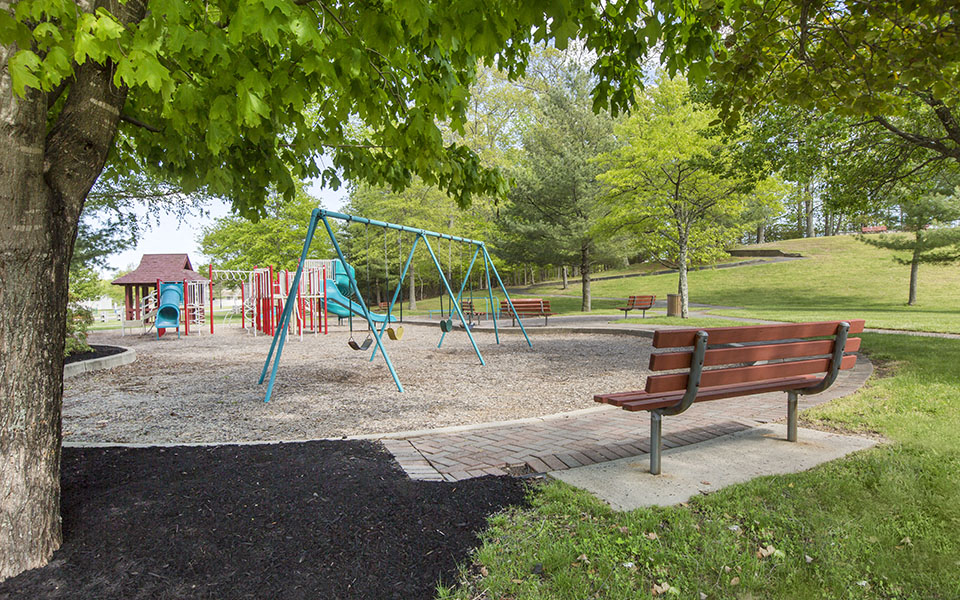 a swing set in a park with a bench