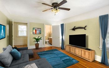 Ceiling fans