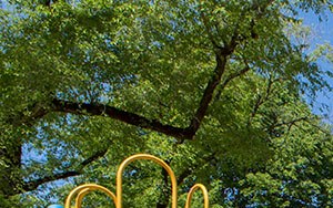 a playground with a slide at a park