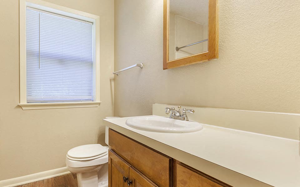a bathroom with a sink and a toilet and a window