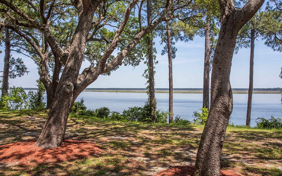 a view of a lake through some trees