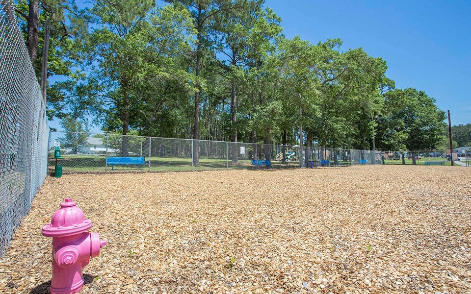a pink fire hydrant sitting next to a chain link fence