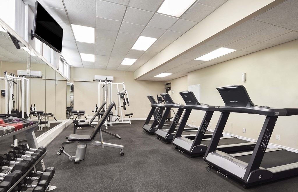 a gym filled with cardio equipment and weights