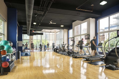 people exercising in a gym with weights and cardio machines