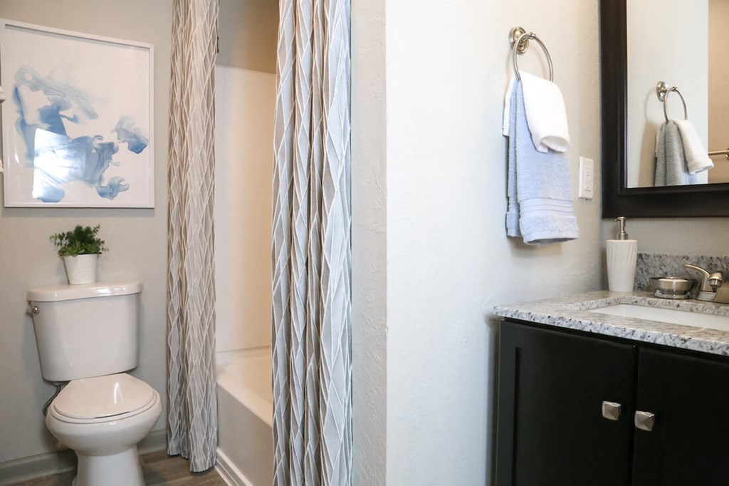 a bathroom with a toilet and a sink and a mirror