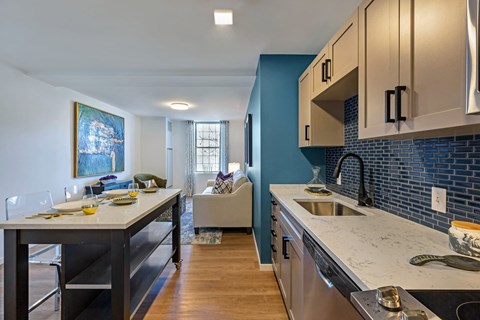 a kitchen and living room with a sink and a counter top