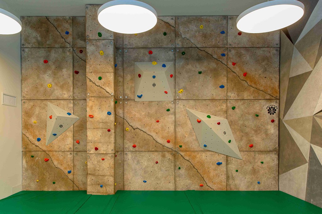 a rock climbing wall in a room with green turf