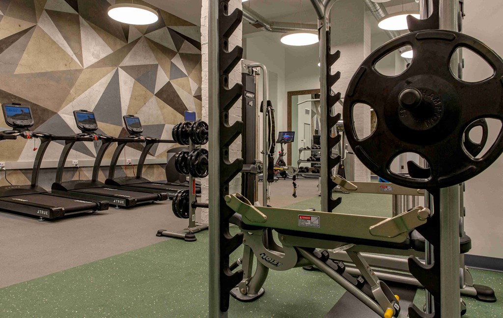 a gym with weights and cardio equipment in a building with geometric wallpapers