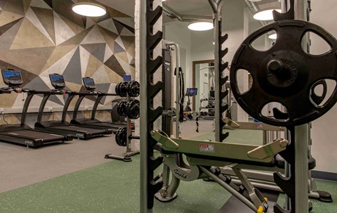 a gym with weights and cardio equipment in a building with geometric wallpapers