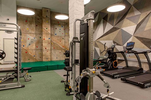 a home gym with weights and a climbing wall