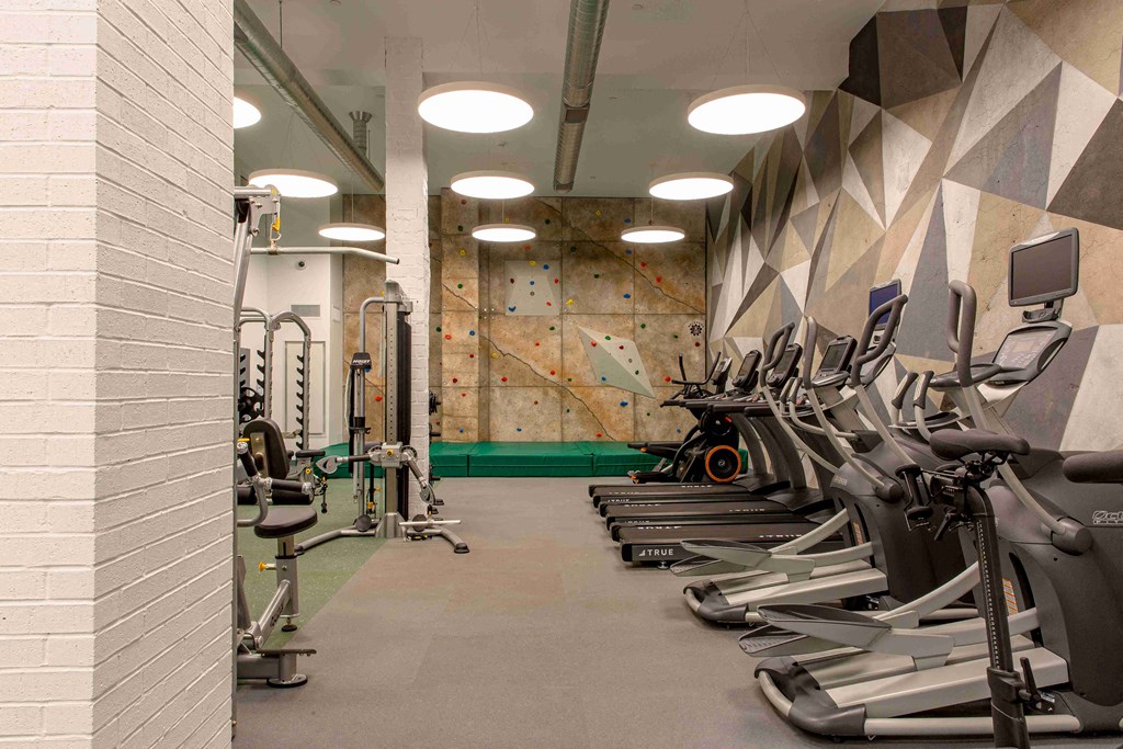 a gym with weights and a rock climbing wall