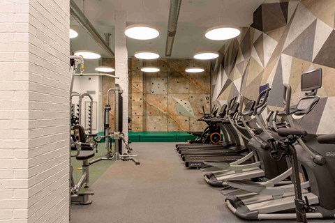 a gym with weights and a rock climbing wall