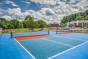 Pickleball Court