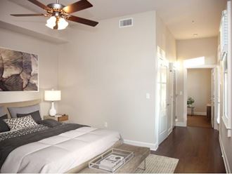 1137 Esplanade Ave 1-2 Beds Apartment for Rent - Photo Gallery