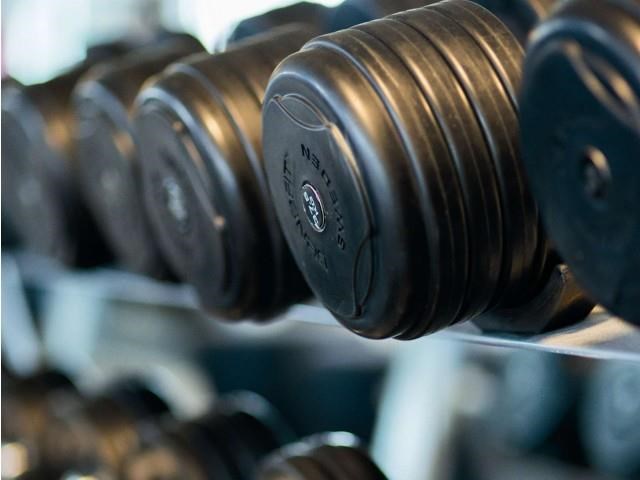 a row of dumbbells on a rack in a gym
