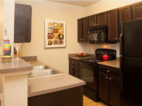 a kitchen with a black refrigerator and a sink