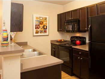 530 St. Andrew St. Suite D 1-2 Beds Apartment for Rent - Photo Gallery 3
