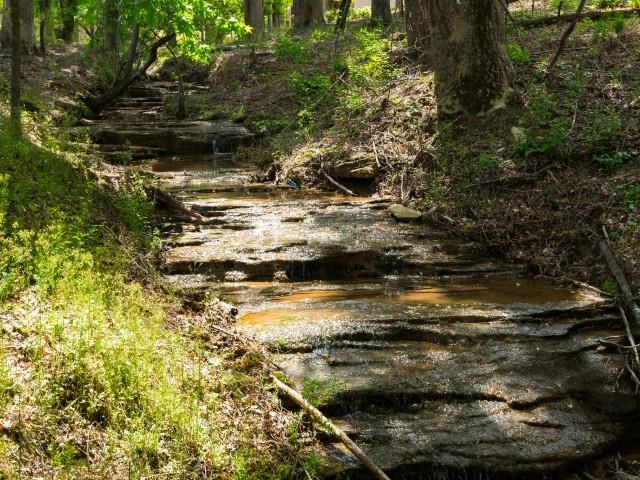 a stream running through a forest next to rocks